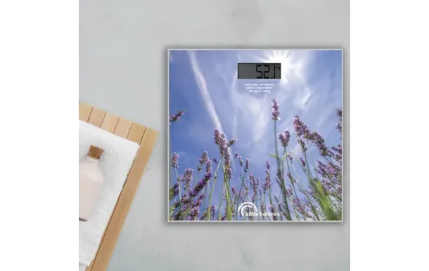 LITTLE BALANCE PESE  8842